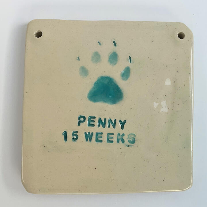 Paw print
